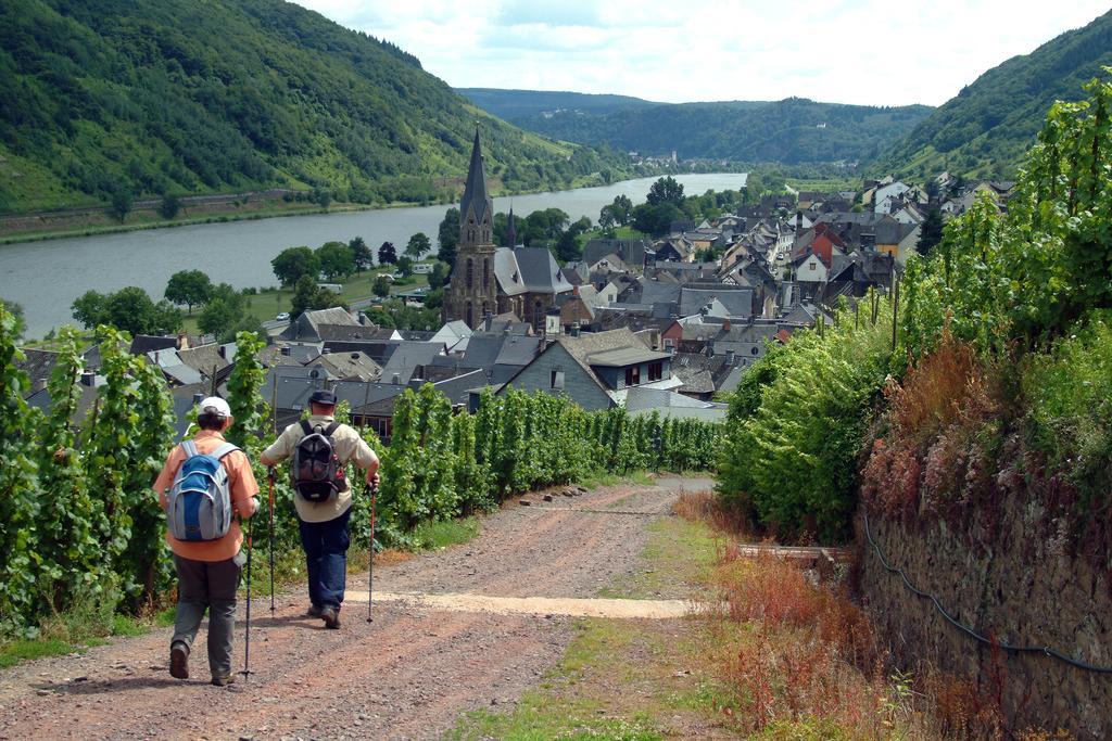 Wein- Und Gaestehaus St. Aldegundishof Sankt Aldegund Ngoại thất bức ảnh
